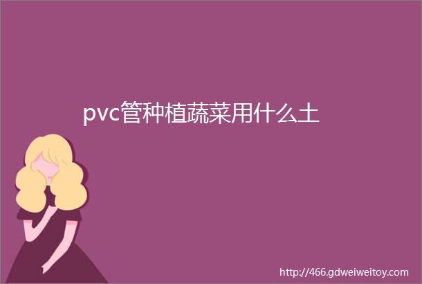 pvc管种植蔬菜用什么土